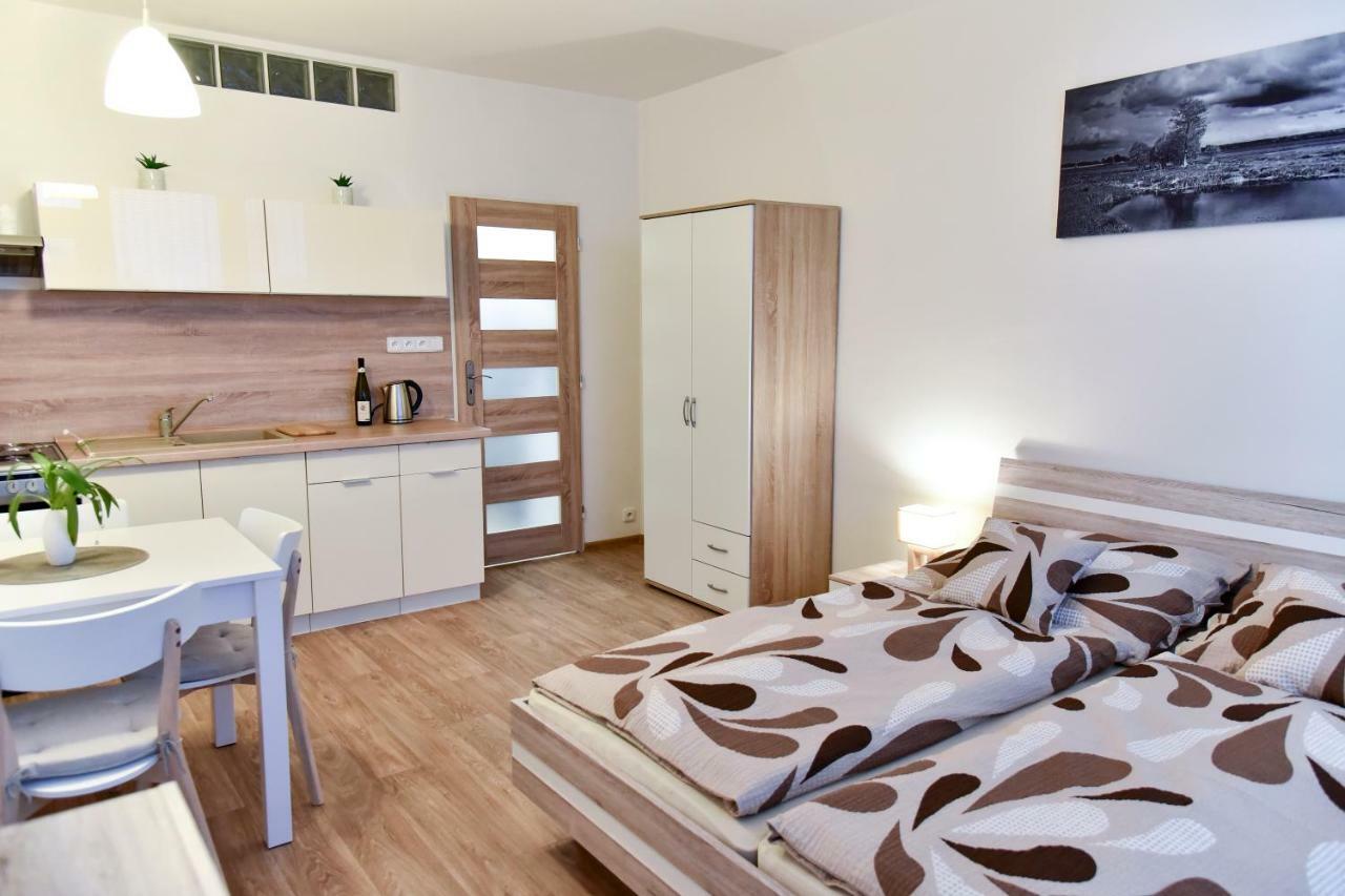 Apartman-Trebon-Centrum מראה חיצוני תמונה