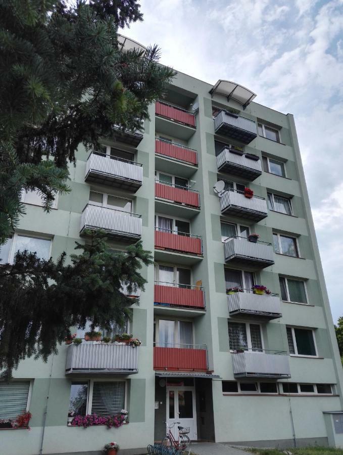 Apartman-Trebon-Centrum מראה חיצוני תמונה